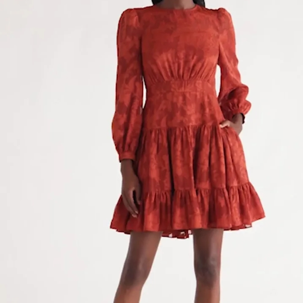 NWOT Eliza J Metallic Stripe Floral Jacquard Long Sleeve Chiffon Dress